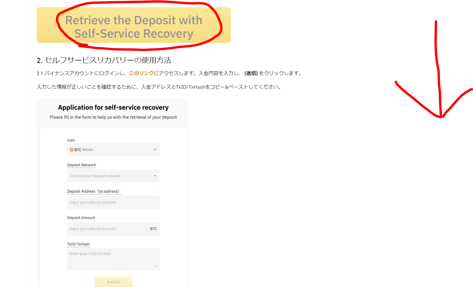 BinanceでセルフGOX送金間違いをしてしまった時の対処法 入金反映されないとき セルフサービスリカバリー | dorublog